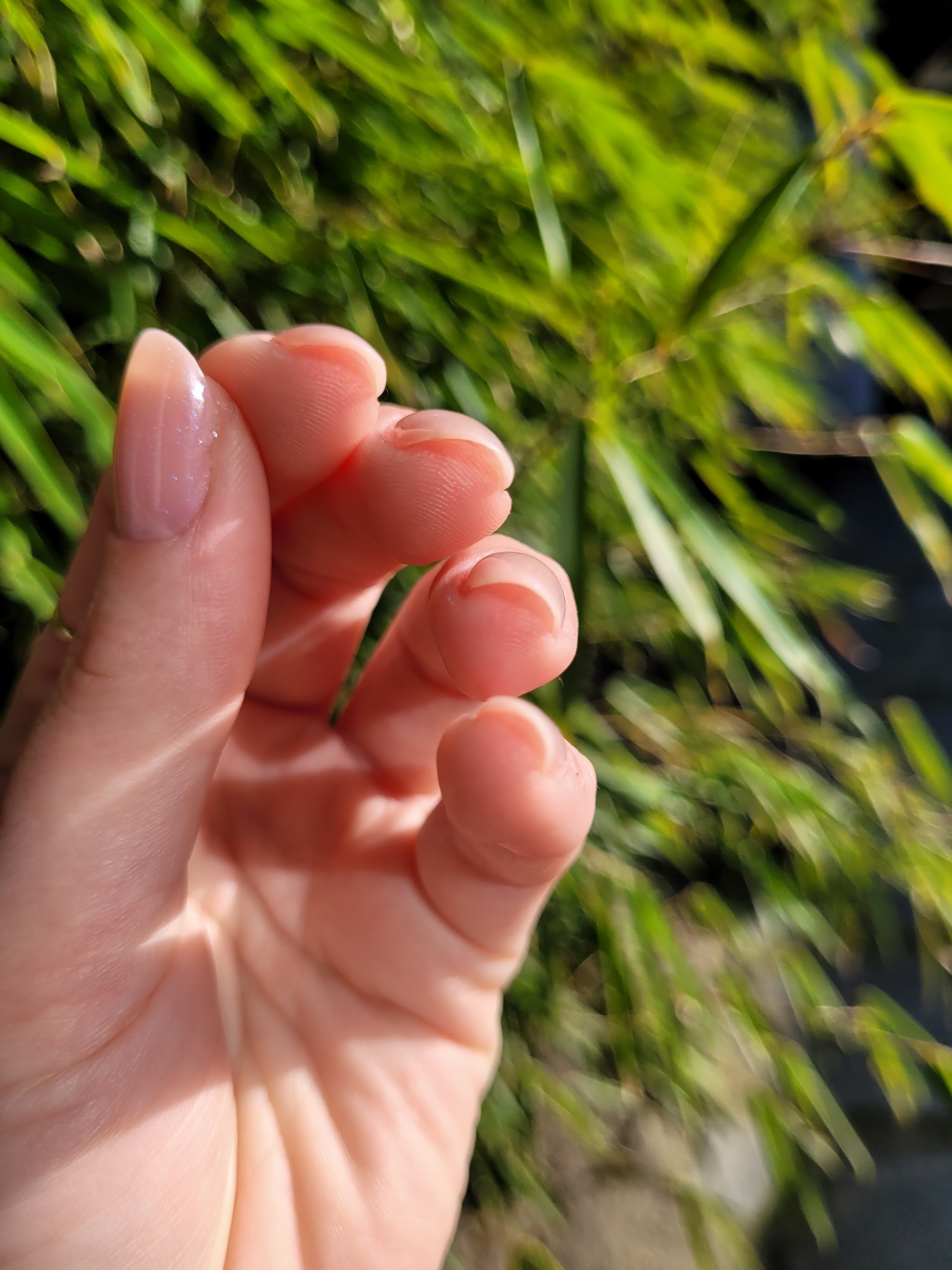 Natuurlijke, dunne hardgel nagels tegen een groene achtergrond